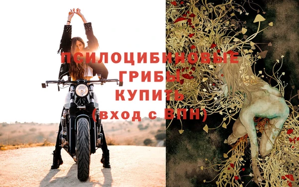 МДПВ Алзамай