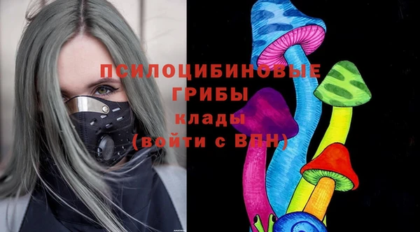МДПВ Алзамай